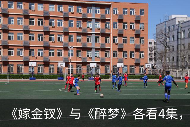 《嫁金钗》与《醉梦》各看4集，一部已弃剧，一部狂追不停！