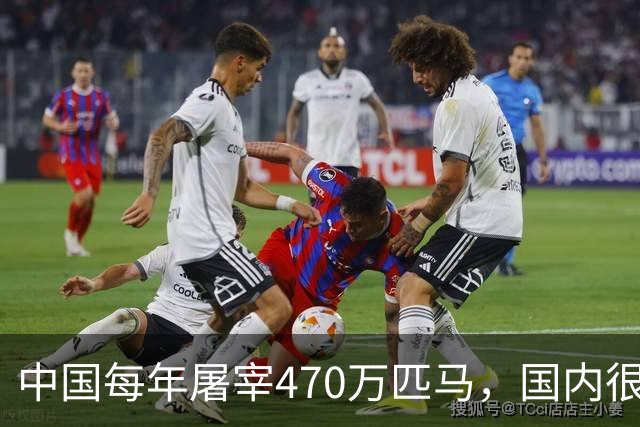 中国每年屠宰470万匹马，国内很少人吃，马肉都去哪了？