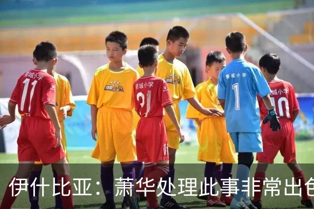 伊什比亚：萧华处理此事非常出色，违规就要承担严重后果