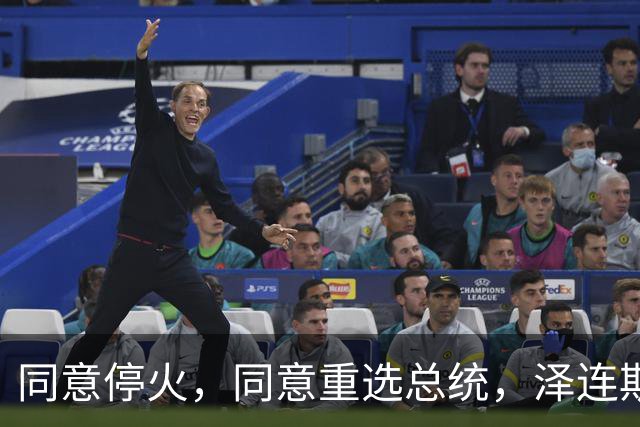 同意停火，同意重选总统，泽连斯基彻底跪了