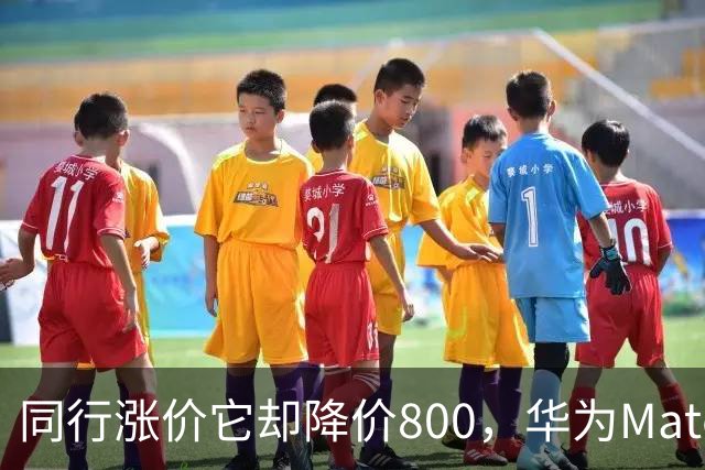 同行涨价它却降价800，华为Mate80靠这一招，销量逼近千万台