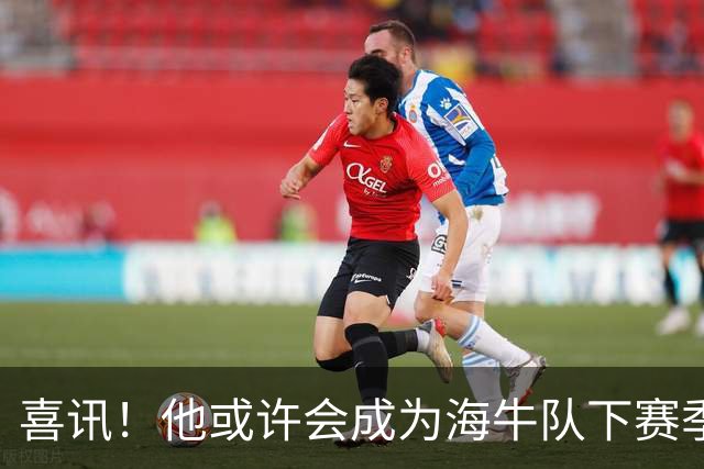 喜讯！他或许会成为海牛队下赛季主教练的热门人选，值得期待