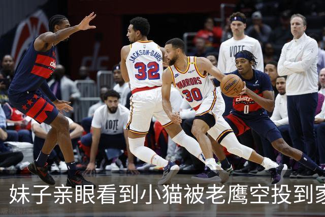 妹子亲眼看到小猫被老鹰空投到家后院，网友笑喷：无人机配送？