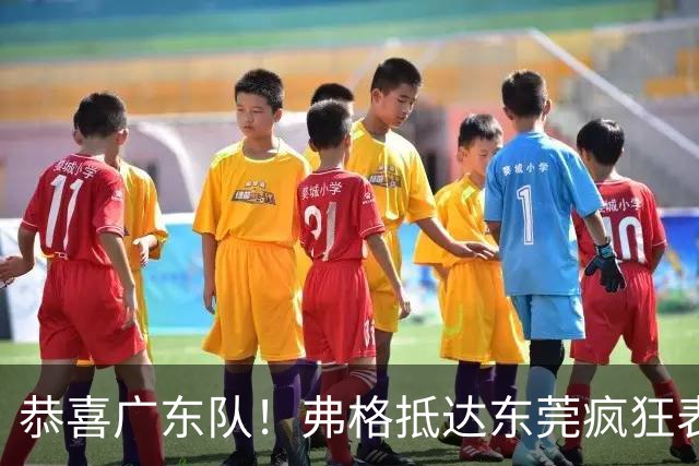 恭喜广东队！弗格抵达东莞疯狂表忠心，被胡明轩徐杰联手排挤？