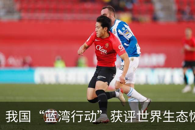 我国“蓝湾行动”获评世界生态恢复旗舰项目