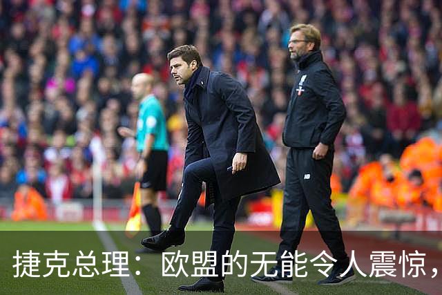 捷克总理：欧盟的无能令人震惊，所有人都在谈论战争，难以置信