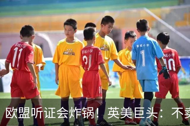 欧盟听证会炸锅！英美巨头：不卖中国五矿，巴西矿山直接关停