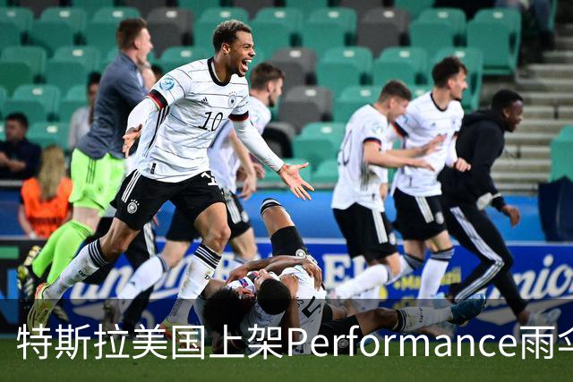 特斯拉美国上架Performance雨伞：48英寸黑色伞面