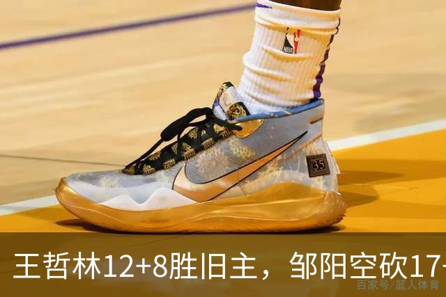 王哲林12+8胜旧主，邹阳空砍17+7，黎伊扬继续高效表现