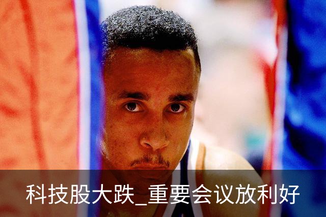 科技股大跌 重要会议放利好