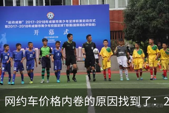 网约车价格内卷的原因找到了：2015年那场被否决的征求意见