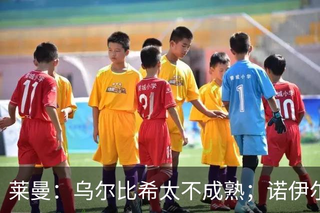 莱曼：乌尔比希太不成熟；诺伊尔依然是毋庸置疑的一号门将