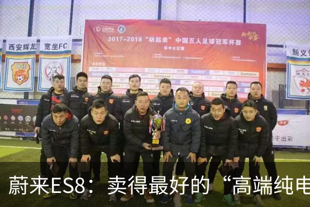 蔚来ES8：卖得最好的“高端纯电”，为什么车主一边掏钱一边骂？