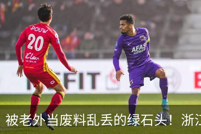 被老外当废料乱丢的绿石头！浙江小伙捡漏盘活 硬生生造出省级节日