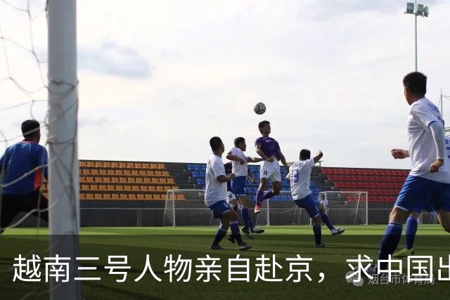 越南三号人物亲自赴京，求中国出手拉一把，中国这次会帮吗