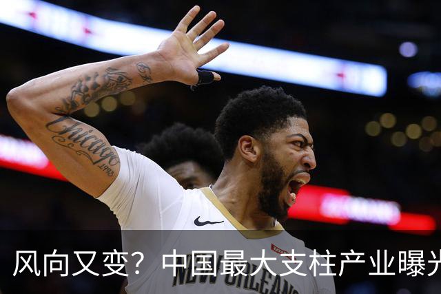 风向又变？中国最大支柱产业曝光，或取代房地产，将来或超越美国