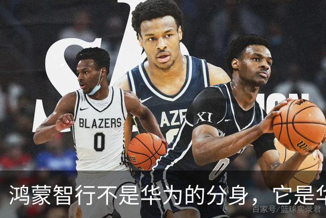 鸿蒙智行不是华为的分身，它是华为给这个时代竖起的一面旗。