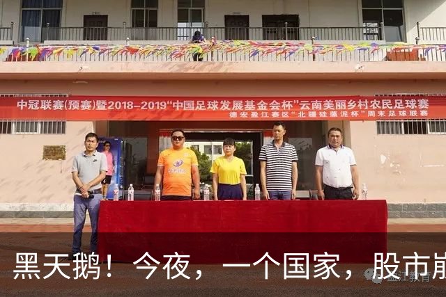 黑天鹅！今夜，一个国家，股市崩了