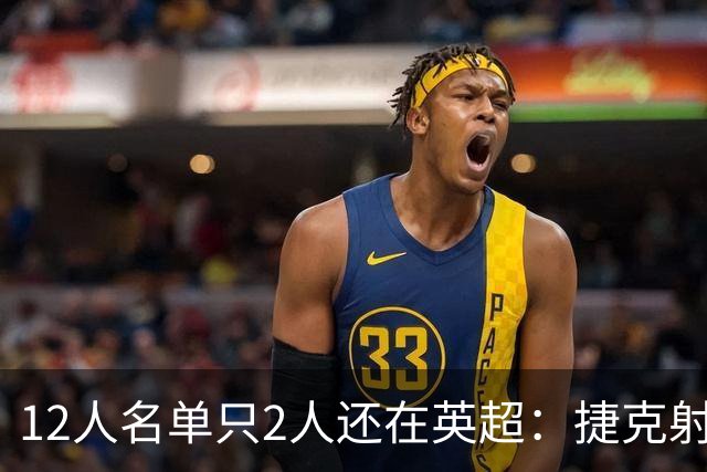 12人名单只2人还在英超：捷克射手你记得几个