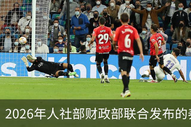 2026年人社部财政部联合发布的养老金最终调整方案！